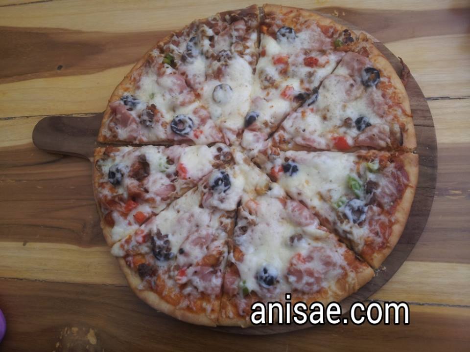 anisae.com