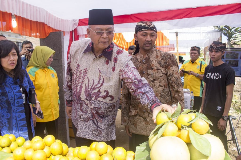 Telah Dibuka! Desa Wisata Kabupaten Malang