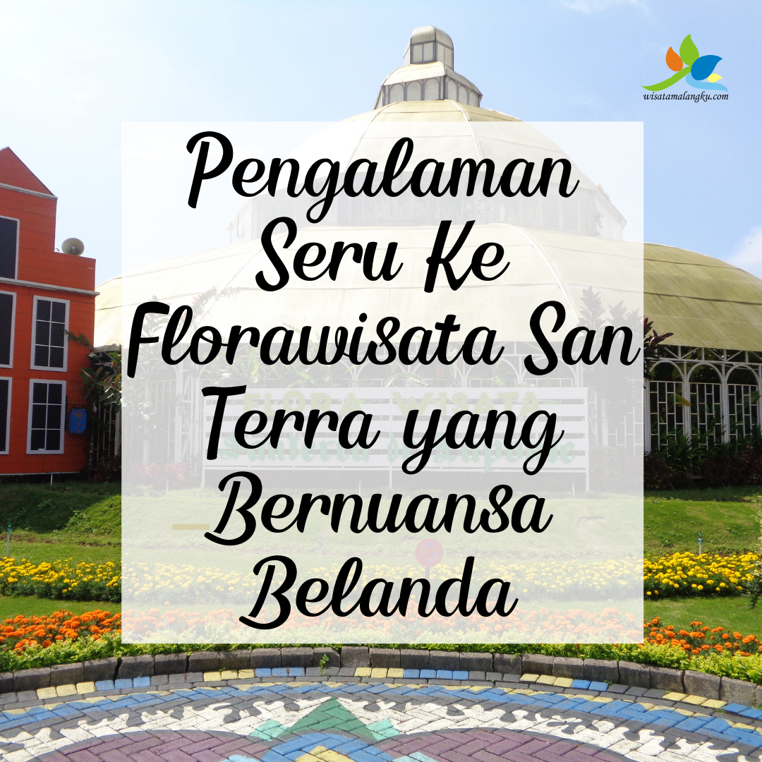 Pengalaman Seru Ke Florawisata San Terra yang Bernuansa Belanda