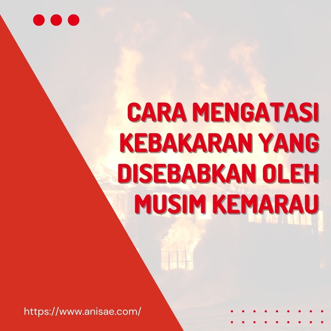 Cara Mengatasi Kebakaran yang Disebabkan Oleh Musim Kemarau